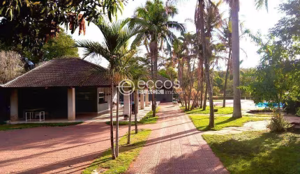 Chácara à venda, 3 quartos, 1 suíte, 20 vagas, Patrimônio - Uberlândia/MG
