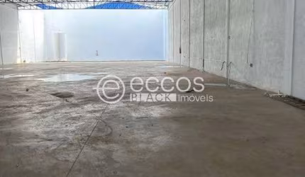 Barracão para aluguel, 1 quarto, Novo Mundo - Uberlândia/MG
