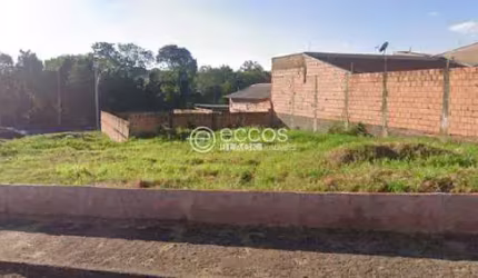 Terreno à venda, São José - UBERABA/MG