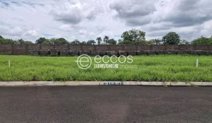 Terreno à venda, Área Rural de Uberaba - UBERABA/MG