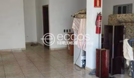 Imóvel Comercial para aluguel, São Benedito - UBERABA/MG