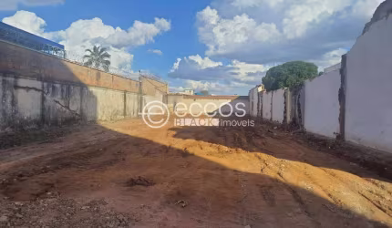 Terreno para aluguel, Brasil - Uberlândia/MG
