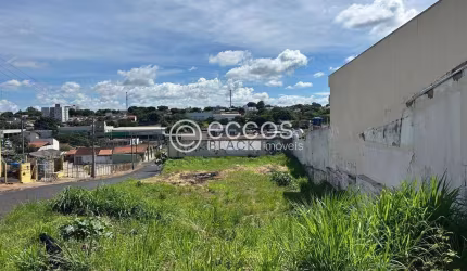 Terreno à venda, Martins - Uberlândia/MG