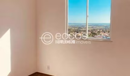 Apartamento para aluguel, 2 quartos, 1 vaga, Desmembramento União da Mocidade Espírita de Uberaba - UBERABA/MG