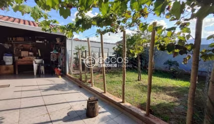 Casa para aluguel, 3 quartos, 1 suíte, 2 vagas, Segismundo Pereira - Uberlândia/MG