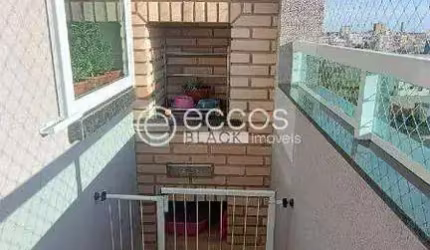 Apartamento à venda, 2 quartos, 1 suíte, 1 vaga, Novo Mundo - Uberlândia/MG
