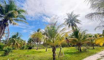 Oportunidade - Terreno Plano em Condomínio de Alto Padrão - 4ª Praia