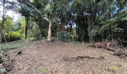 Oportunidade - Lotes em Morro de São Paulo por R$ 50.000,00