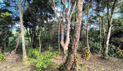Lote de 700m² em Morro de São Paulo