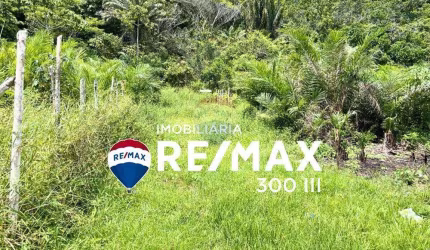 Terreno à Venda na Gamboa do Morro de São Paulo