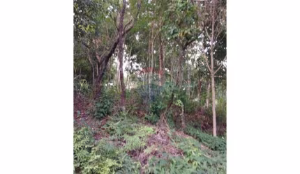 OPORTUNIDADE Terreno por apenas R$ 120 mil reais - Morro de São Paulo