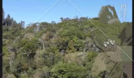 CHACARA EM CAMPINA GRANDE DO SUL