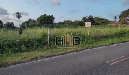 Terreno à venda, 27.170 m² por 220 reais o valor do m² - Próximo a Estrada do Fio - Mangabeira - Eusébio/CE
