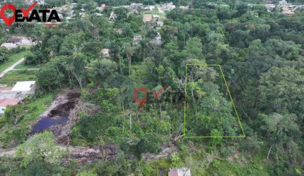 Terreno à venda, 384 m² por R$ 100.000 - Praia Das Palmeiras - Itapoá/SC