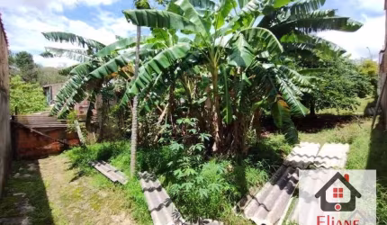 Terreno à venda, 350 m² por R$ 320.000,00 - Jardim Nova Europa - Campinas/SP