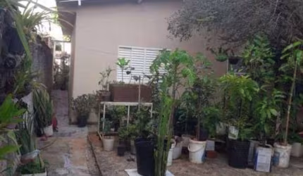 Casa com 2 dormitórios à venda por R$ 830.000,00 - Jardim Novo Campos Elíseos - Campinas/SP