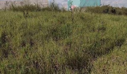 Terreno à venda, 175 m² por R$ 145.000,00 - Jardim Novo Sol - Campinas/SP