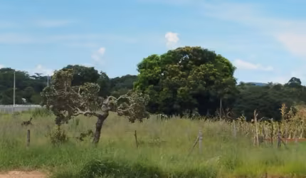 Área  comercial 20.000  df 140
