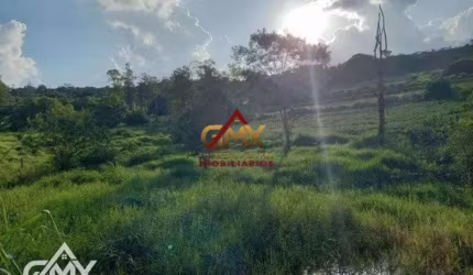 Sítio à venda, 182000 m² por R$ 5.000.000,00 - Jardim Vale Azul - Londrina/PR