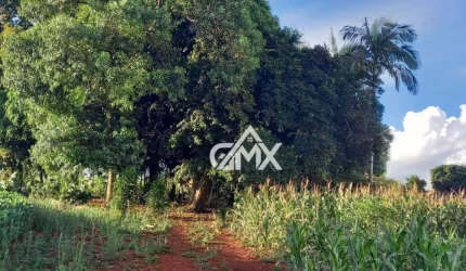 Terreno à venda, 2100 m² por R$ 380.000,00 - Serrinha - Tamarana/PR