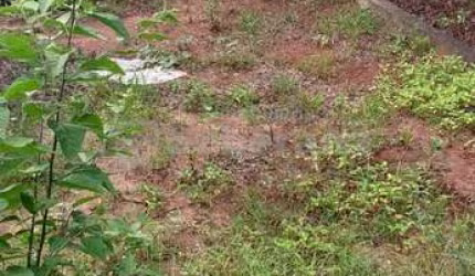 Terreno à venda na Chácara da Barra, Campinas  por R$ 380.000