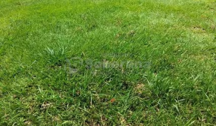 Terreno em condomínio fechado à venda no Parque Xangrilá, Campinas  por R$ 950.000