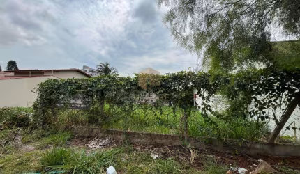 Terreno à venda no bairro Jardim Novo Cambuí em Campinas