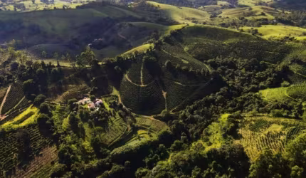 Fazenda à venda em Inconfidentes MG