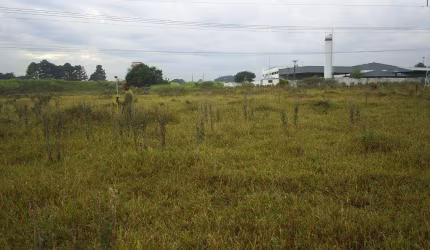 Terreno à venda em Campinas, Chácara Nova Boa Vista, com 42323 m²