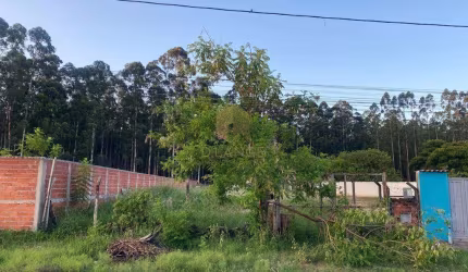 Terreno à venda em Campinas, Cidade Satélite Íris