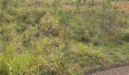 Terreno à venda no Parque Jatibaia em Sousas em Campinas/SP.