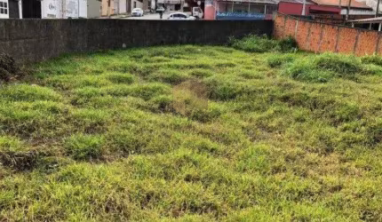 Terreno à venda em Campinas, Jardim Carlos Lourenço