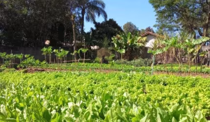 Terreno à venda no Village Campinas, região de Barão Geraldo