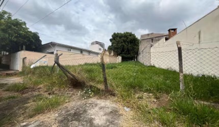 Terreno à Venda no Bairro Jardim Novo Cambuí em Campinas