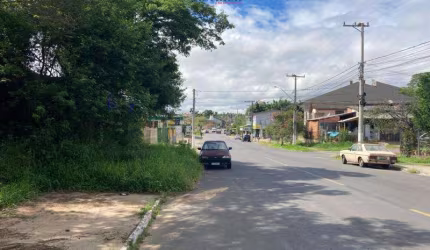 Terreno Parque Amador Esteio