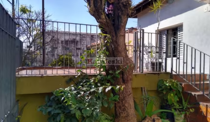 Casa Térrea na Vila das Mercês. Confira !!!!!