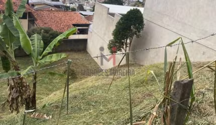 Lote no bairro Democrata