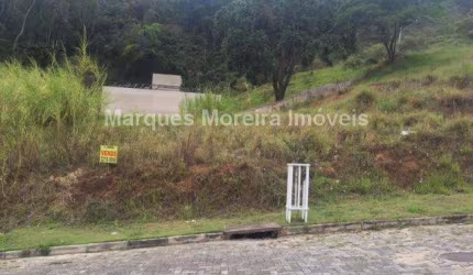 Oportunidade