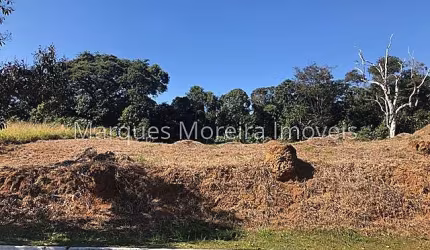 Lote / Terreno - Salvaterra