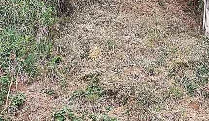 Lote / Terreno - Dom Bosco