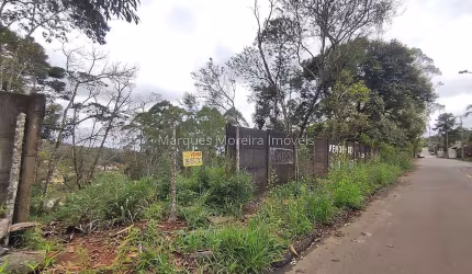 Oportunidade Lote no Novo Horizonte