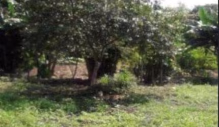 TERRENO A VENDA EM SP JARDIM PRESIDENTE DUTRA