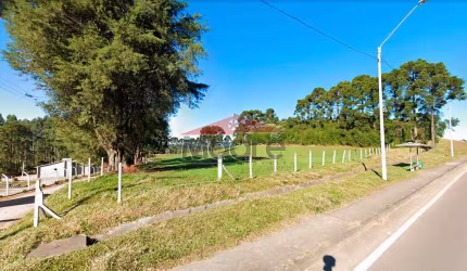 Terreno comercial à venda na Rodovia BR-376, 934, Miringuava, São José dos Pinhais, 121000 m2 por R$ 15.730.000