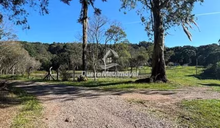 Chácara / sítio à venda na Sao Roque, 1, Fazenda Souza, Caxias do Sul por R$ 166.000