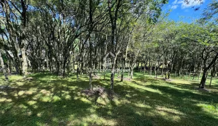 Terreno à venda na Rua General Alexandre Moss Simões dos Reis, 1, São Ciro, Caxias do Sul por R$ 790.000