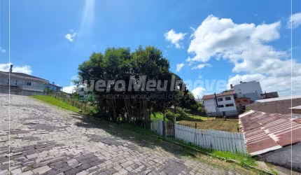 Terreno à venda na Rua Pedro Viezzer, 1, Presidente Vargas, Caxias do Sul por R$ 800.000