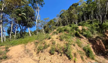 Terreno para Venda em Teresópolis, Carlos Guinle