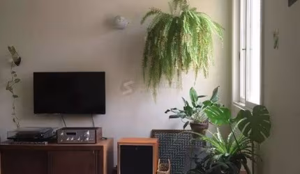 Apartamento em Floresta