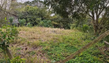 Terreno para Venda - 0m², 0 dormitórios, Tristeza