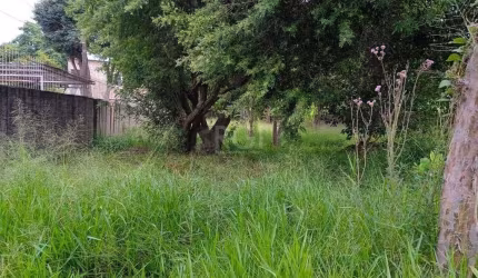 Terreno para Venda - 0m², 0 dormitórios, Tristeza